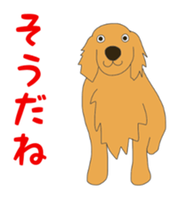 14056493