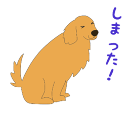 14056499