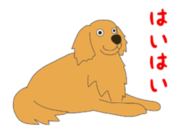 14056500