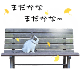 140568544
