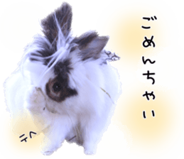 140568555