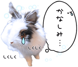 140568557