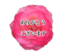14063566