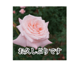 14063574