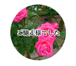 14063582