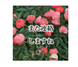 14063587