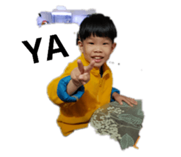 140656666