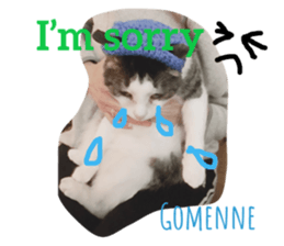 140665540
