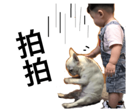 140706785