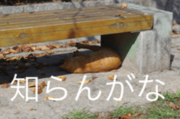 14085737