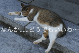 14085753