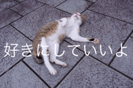 14085755