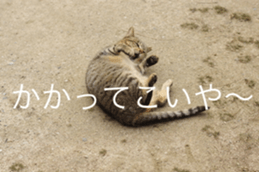 14085759