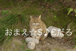 14085760