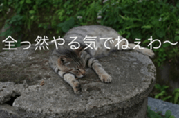 14085765
