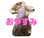141502643