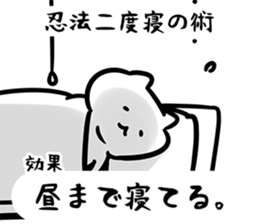 141551556