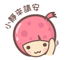 141567536