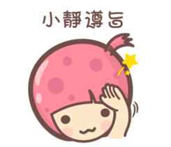 141567537