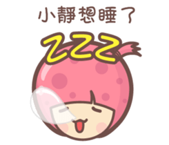 141567553
