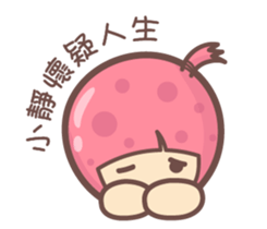 141567555