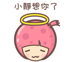 141567564