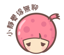 141567570