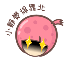 141567571