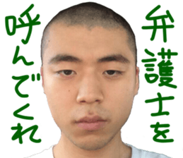 14161306
