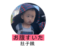 141670133