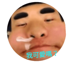 141682207