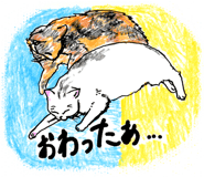 141690464