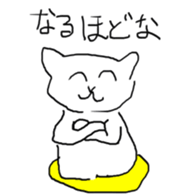 141981797
