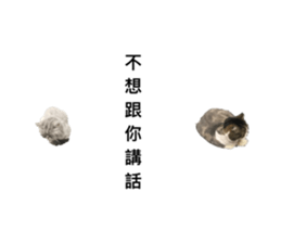 142018366