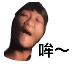 142037780