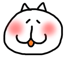 142051816