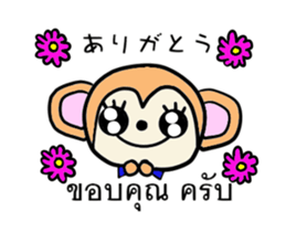 14205716