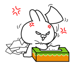 14208004