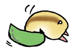 1421037
