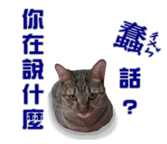 14214579