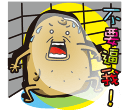 14216456