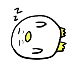 142211