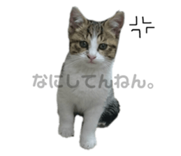 142239448