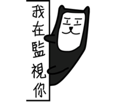 14225520
