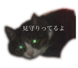 142313257