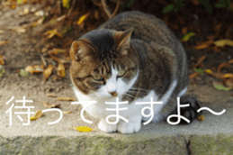 14232640