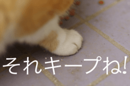 14232641