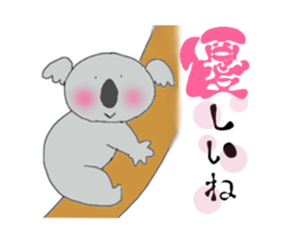 1423557