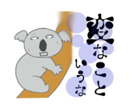 1423571