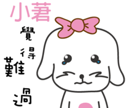 142361951